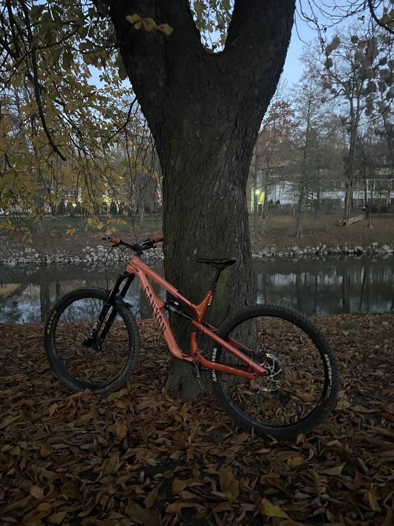 Canyon spectral AL5 2022
