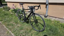 Canyon Endurace Al