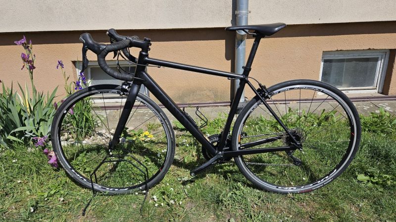 Canyon Endurace Al