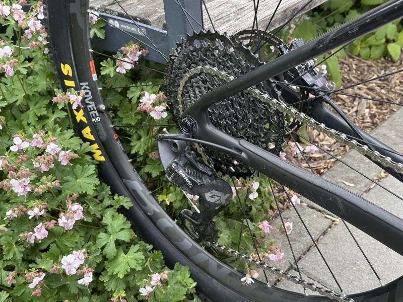Trek Procaliber 9.8 SL 