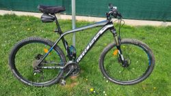Kross Level R4