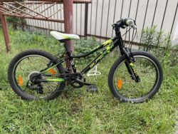 Superior Paint 20”