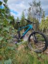 Focus Raven 8.8