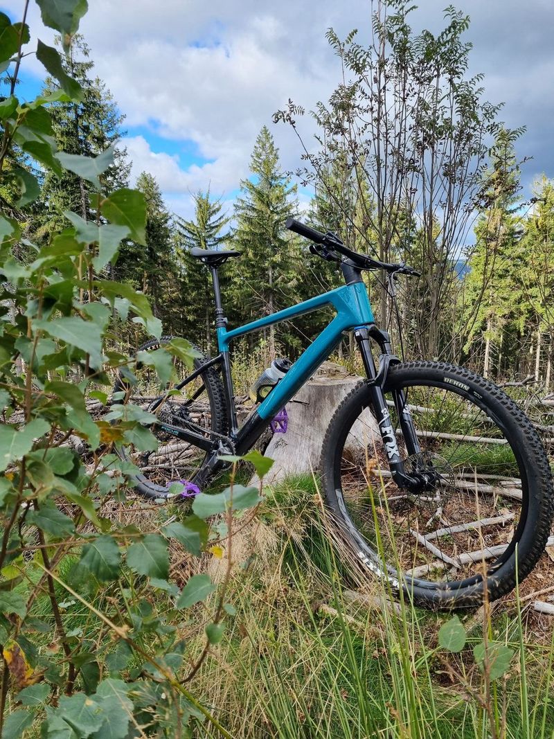 Focus Raven 8.8