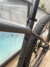 Specialized rockhopper Hardtail