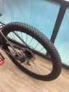Specialized rockhopper Hardtail