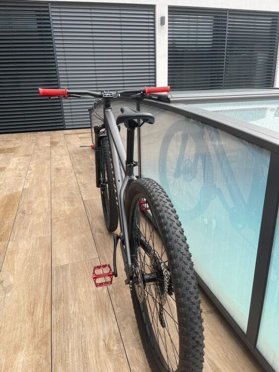 Specialized rockhopper Hardtail