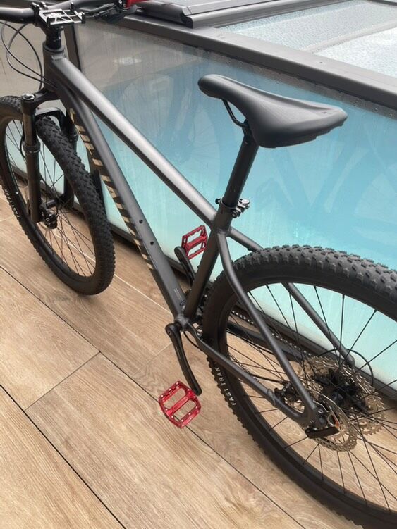 Specialized rockhopper Hardtail