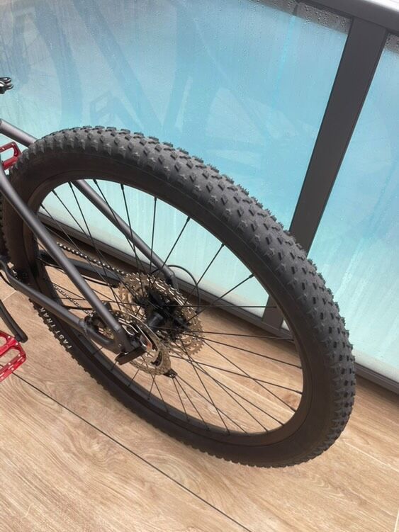 Specialized rockhopper Hardtail