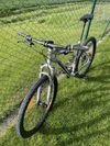 Specialized Rockhopper 29 Comp, XL