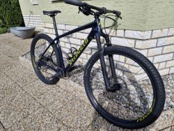 Specialized Epic HT carbon (L)