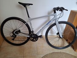 GIANT FastRoad SL 2
