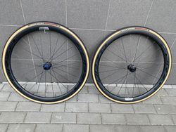 Forza Levanto DB