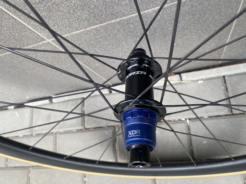 Forza Levanto DB