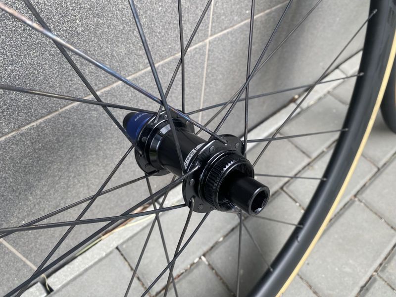 Forza Levanto DB