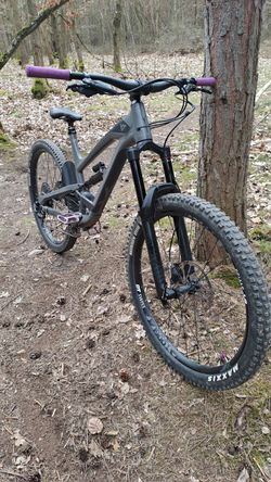 Yt capra 2019