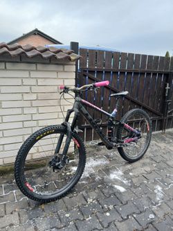 Trek Remedy 8