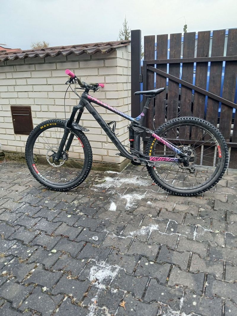 Trek Remedy 8