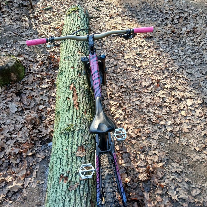 Trek Remedy 8