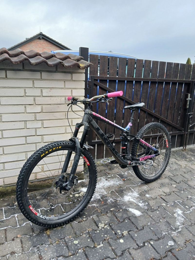 Trek Remedy 8