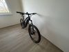 Haibike ALLMTN 10