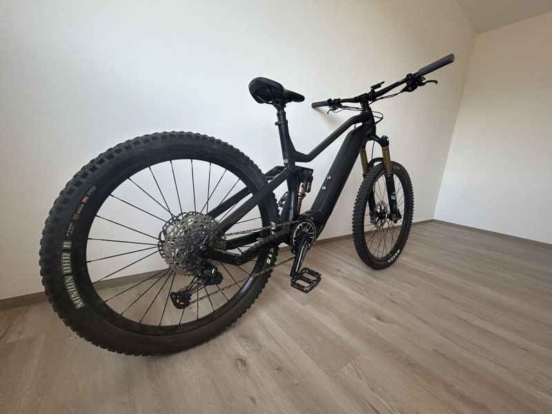 Haibike ALLMTN 10