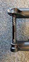 FOX 38 FLOAT 29 170 mm GRIP 2