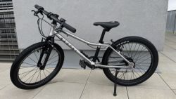 Rascal 20”