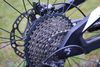 Focus O1E Pro Carbon (M)