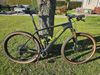 Radon Jealous 9.0 22"