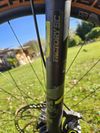 Radon Jealous 9.0 22"