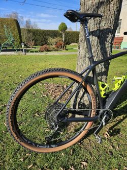 Radon Jealous 9.0 22"