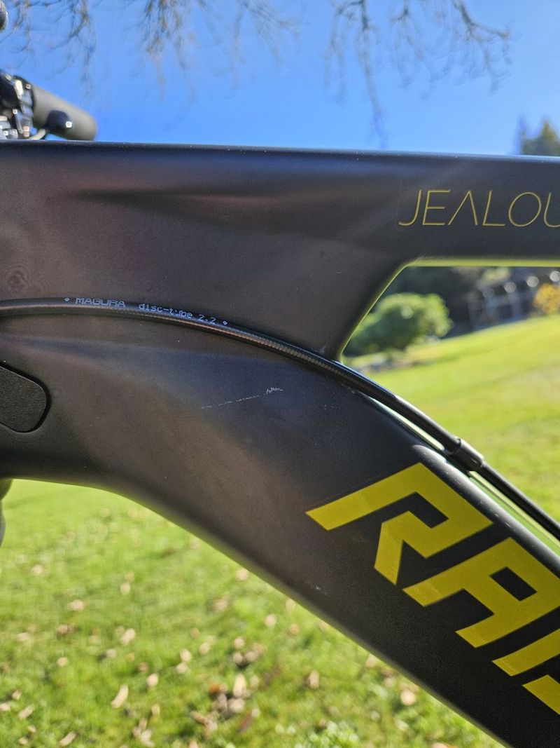 Radon Jealous 9.0 22"