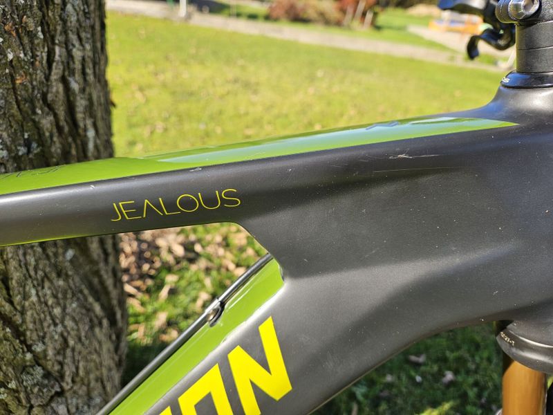 Radon Jealous 9.0 22"