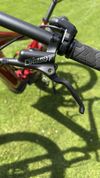 Elektrokolo Giant