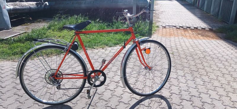 Kolo Liberta