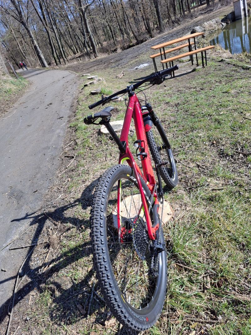 Rockrider XC 900 Hardtail GX Eagle vel. L
