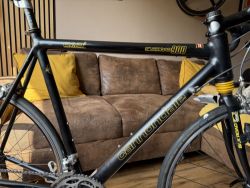 Cannondale Silkroad 900