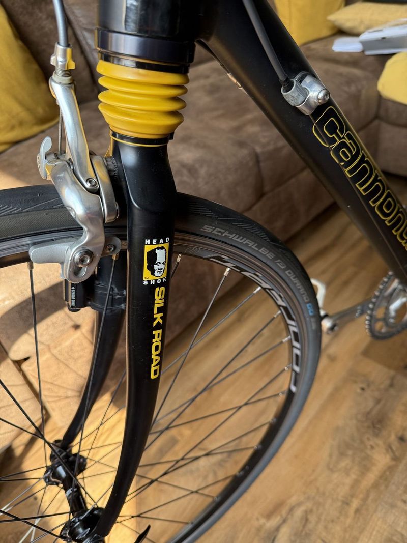 Cannondale Silkroad 900