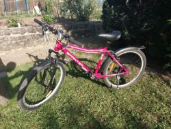 Kolo 26“ Sprinter Nipper červený 17“