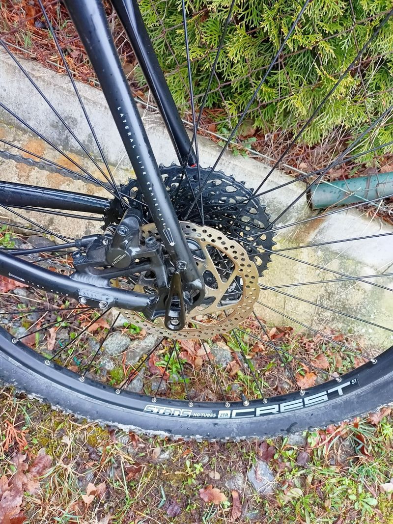 Silverback Sola 1 29"