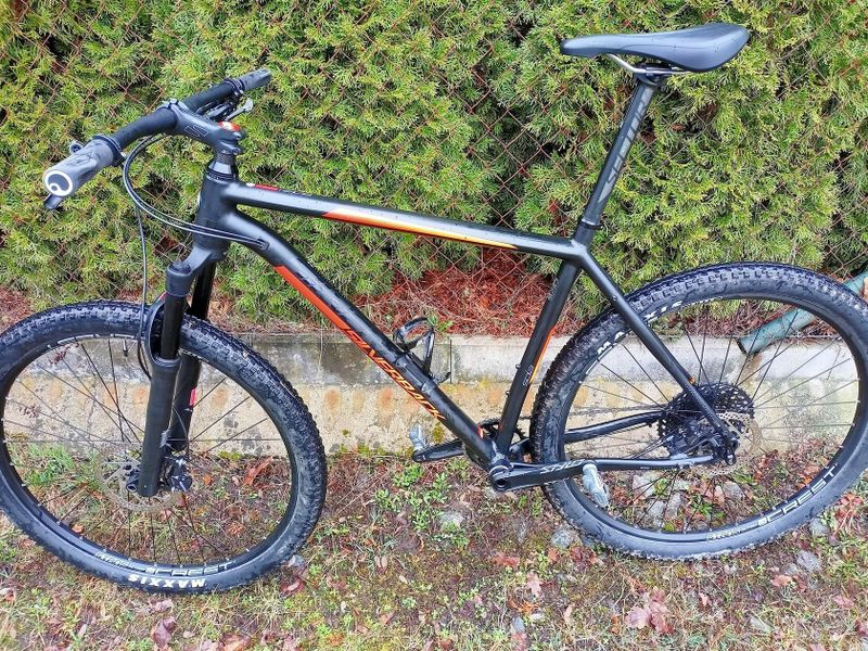 Silverback Sola 1 29"