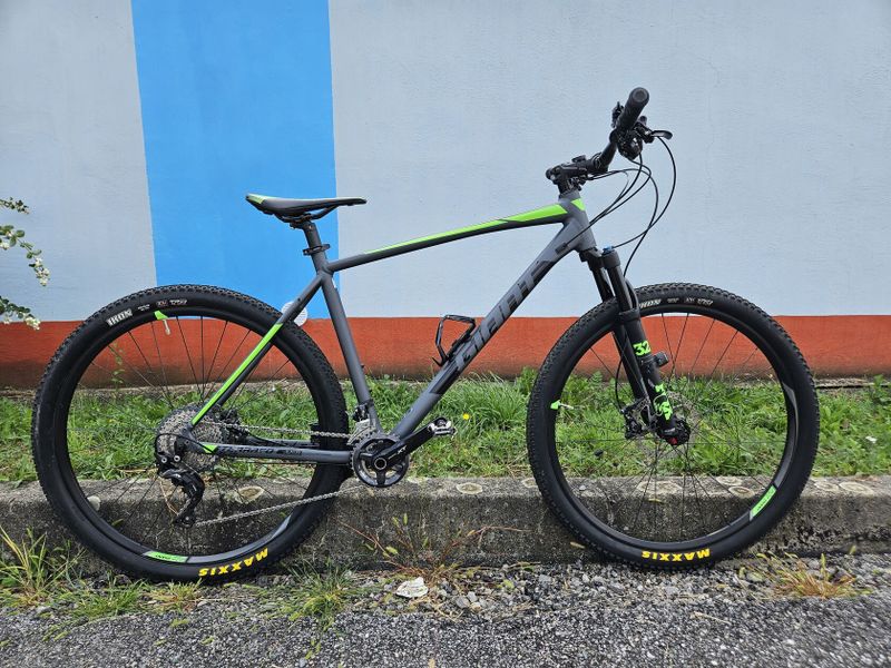 Giant Terrago