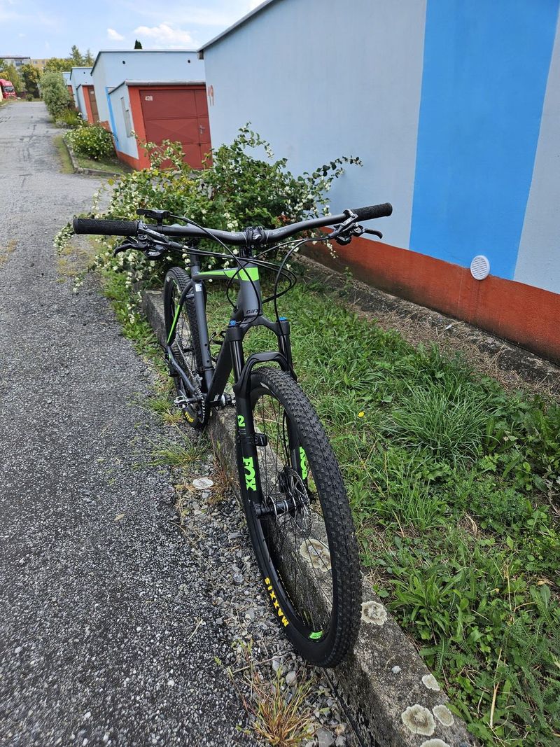 Giant Terrago