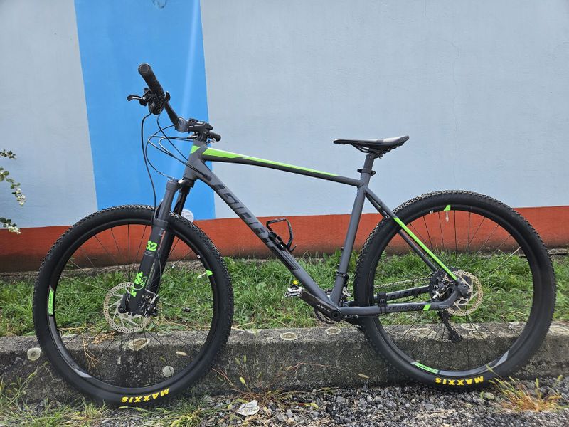 Giant Terrago