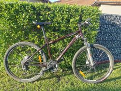 Dámské horské kolo Specialized Myka Expert