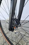 Gravel Rose Backroad 2025