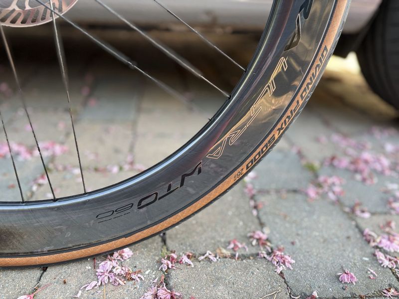 Campagnolo BORA ULTRA WTO 60 DB, model 2025