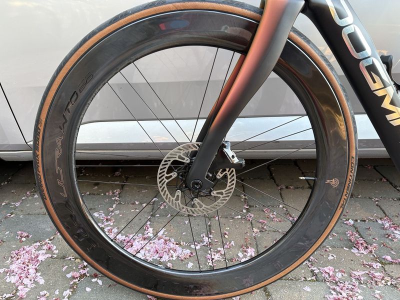 Campagnolo BORA ULTRA WTO 60 DB, model 2025