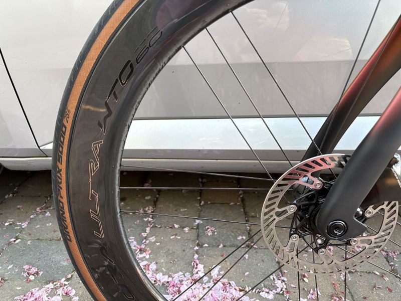 Campagnolo BORA ULTRA WTO 60 DB, model 2025